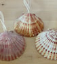 Scallop Shell Hanging Decorations - Image 8