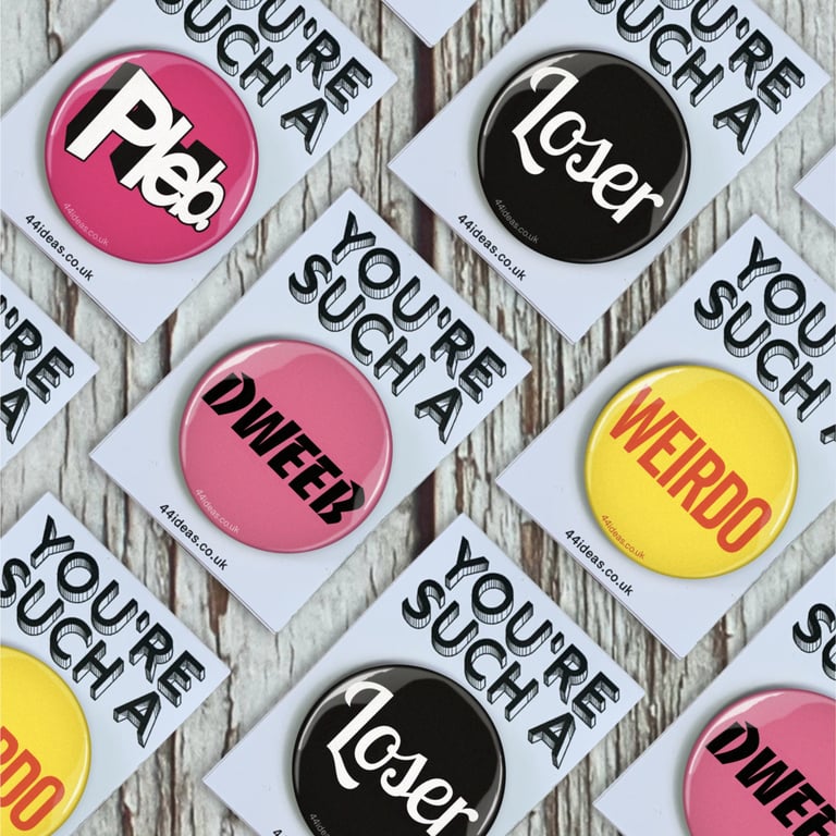 Insult pin badges. Type brooch. Large 38mm. Gift for Pleb, Dweeb & Losers