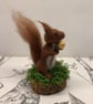 Squirrel needle felted - Image 1