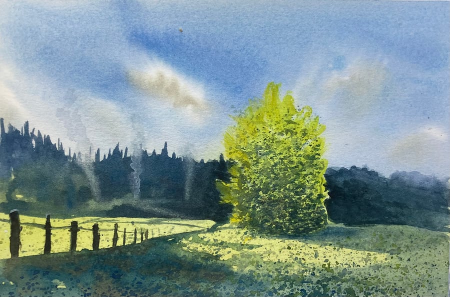 Guisborough forest - Woodland burning (Original watercolour) watercolor art