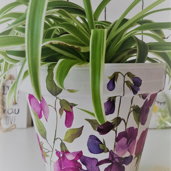 Made to Order - Decoupaged Sweet Pea Design Indoor Terracotta Pot
