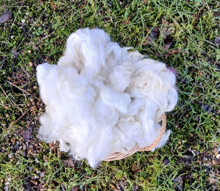 Texel Fleece 50g