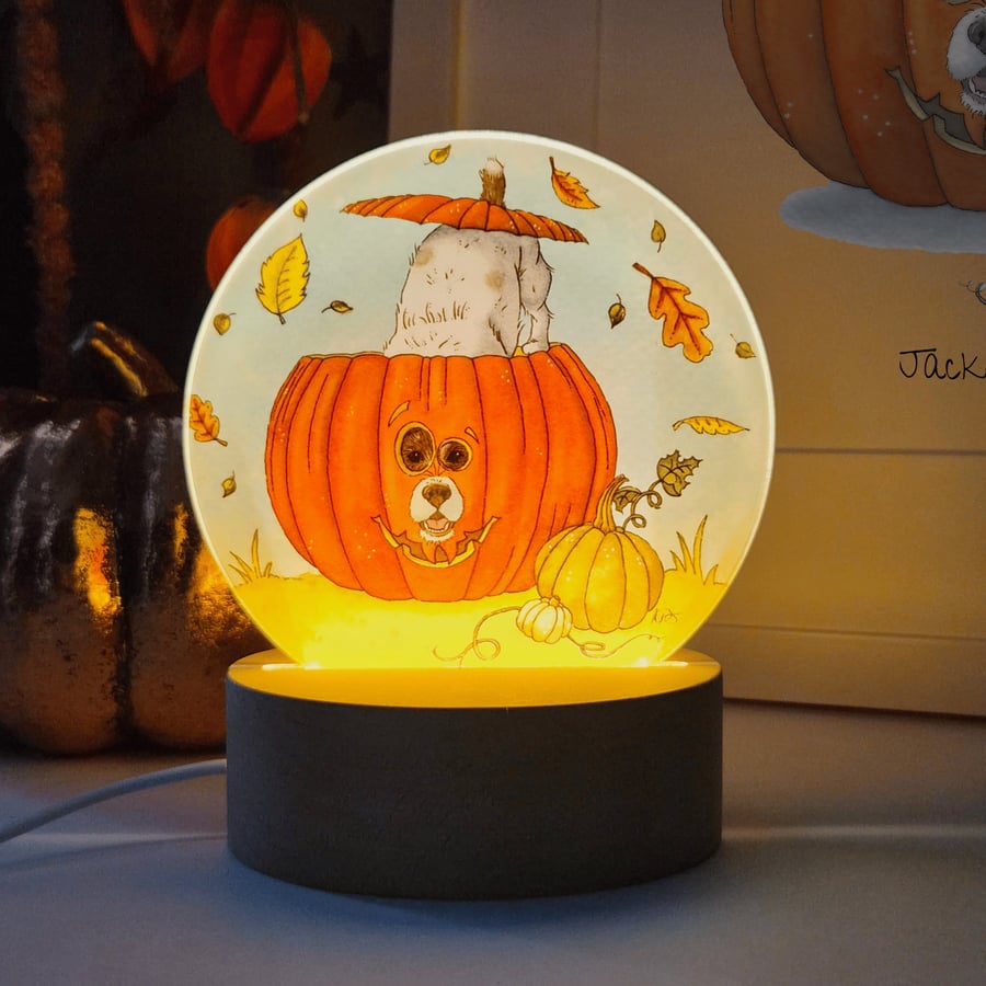 Autumn Pumpkin LED Night Light – "Jack-O'-Lantern" Dog Art