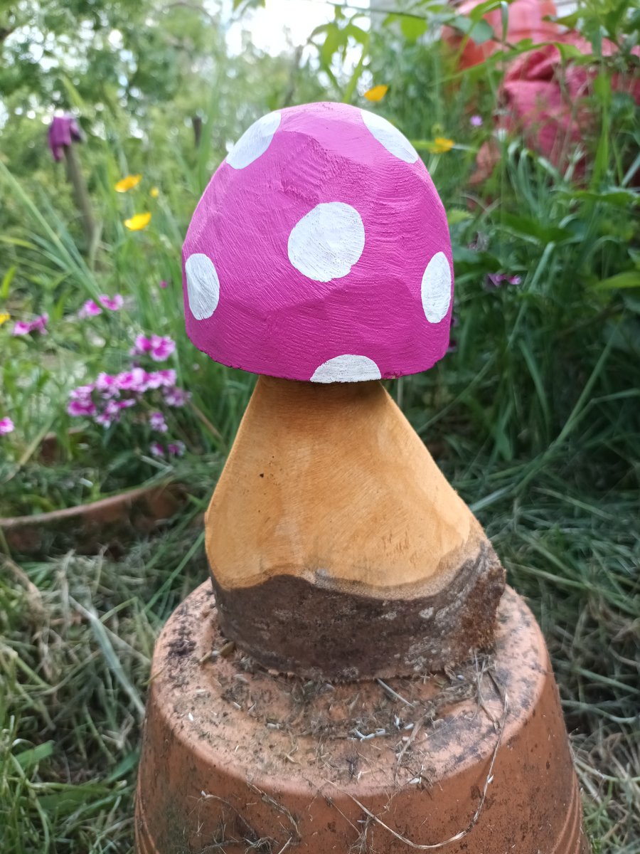 Pink Spotty Toadstool