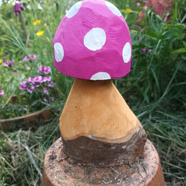 Pink Spotty Toadstool