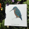 Fathers Day Kingfisher card 