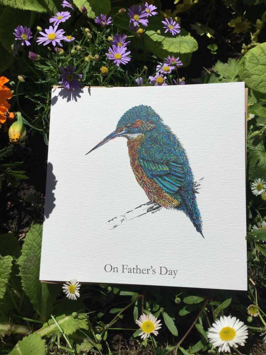 Fathers Day Kingfisher card 