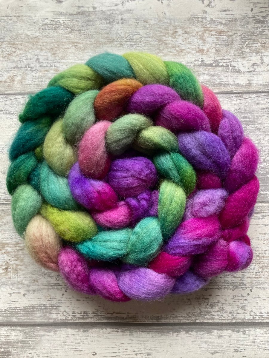 BFL spinning fibre 100g Eveningdew