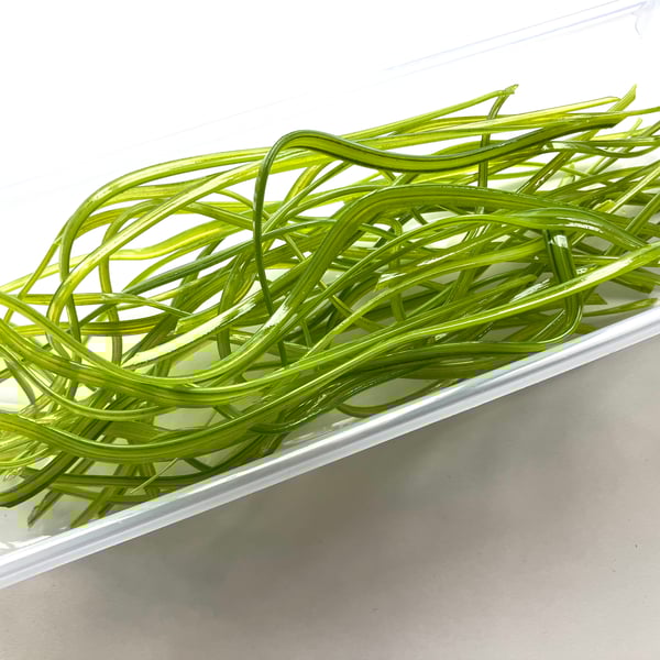 150g Ribbons - Mixed Green Bullseye 90 coe glass Vitrigraph ribbon stringers