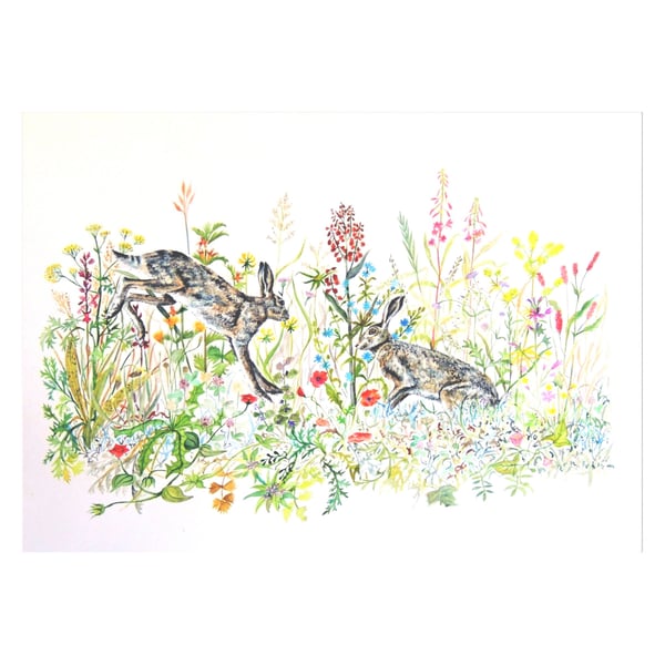 Hare and Flowers Print from Watercolour Painting. Limited Edition Fine Art 