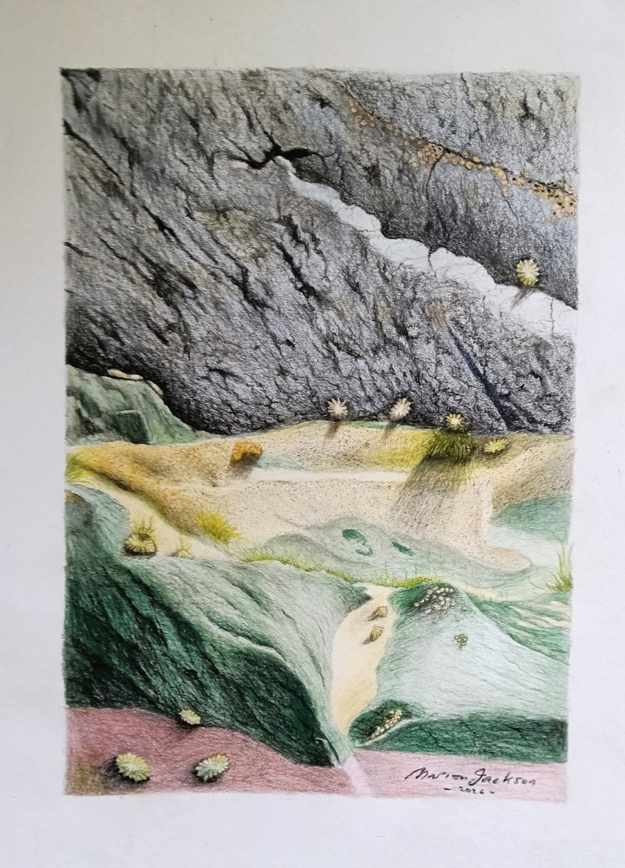 Image of ROCK FACE, Whitesands Beach, Pembrokeshire 