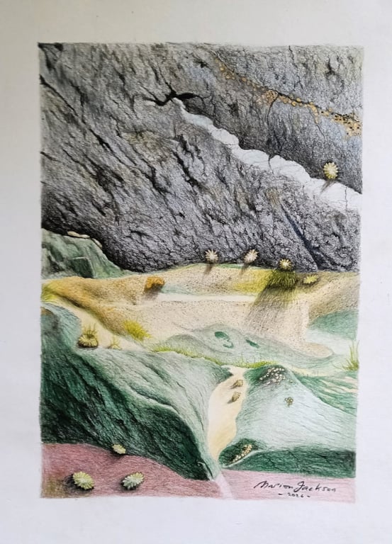 ROCK FACE, Whitesands Beach, Pembrokeshire 