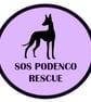 Podenco brooch - Image 3