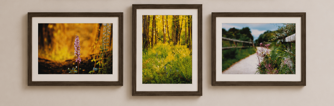 Woodland & Wildflower Wall Art Print Set of 3 – Countryside Nature Photography