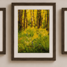 Woodland & Wildflower Wall Art Print Set of 3 – Countryside Nature Photography