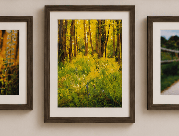Woodland & Wildflower Wall Art Print Set of 3 – Countryside Nature Photography