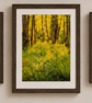 Woodland & Wildflower Wall Art Print Set of 3 – Countryside Nature Photography