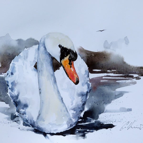 Swan, Original Watercolour Painting.