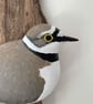 Little Ringed Plover - Image 3