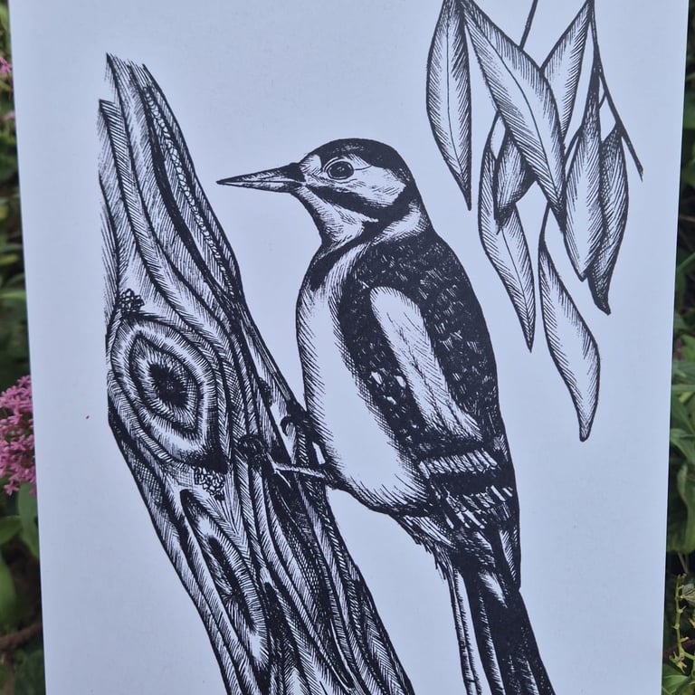 A4 woodpecker print (from hand-drawn image)