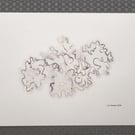 Mixed Media Art Print - 'Pulse' Limited Edition