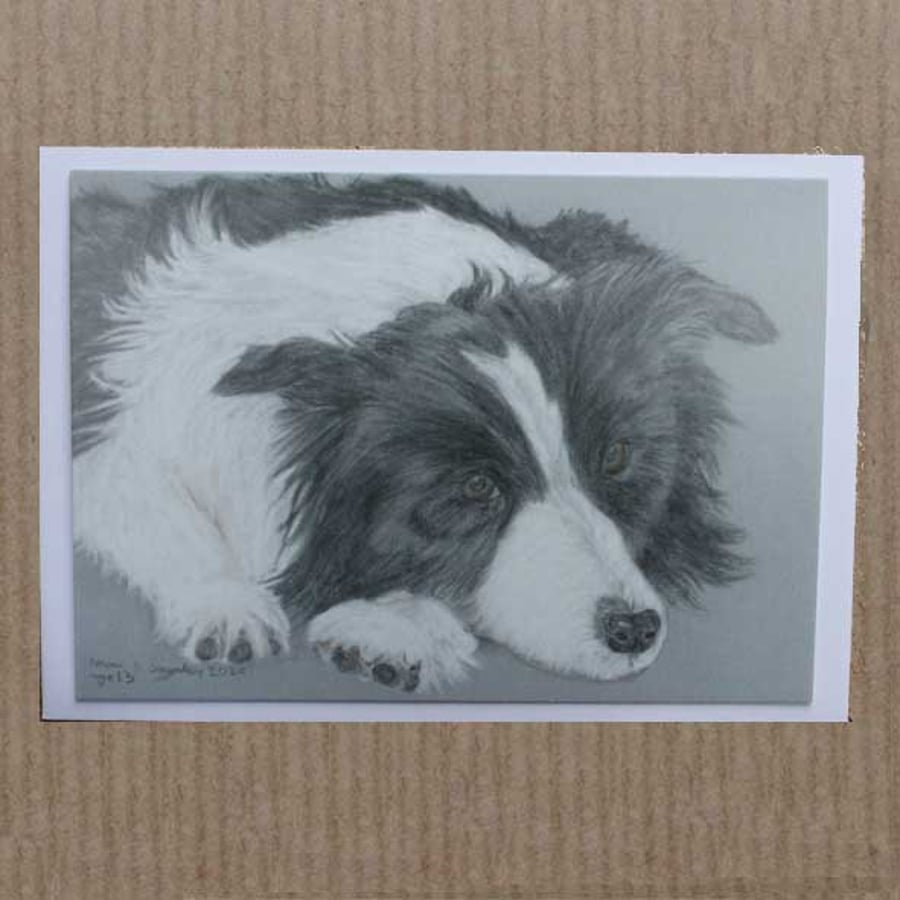 Collie Dog greetings card (single or pack of 5) with white envelope