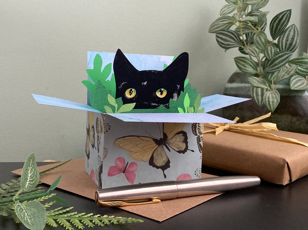 Black Cat Card. Cat in a box card. Personalised 3D Gift card holder.