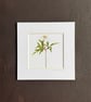 'Wood Anemone' 5" x 5" Hand Finished Print - Image 1