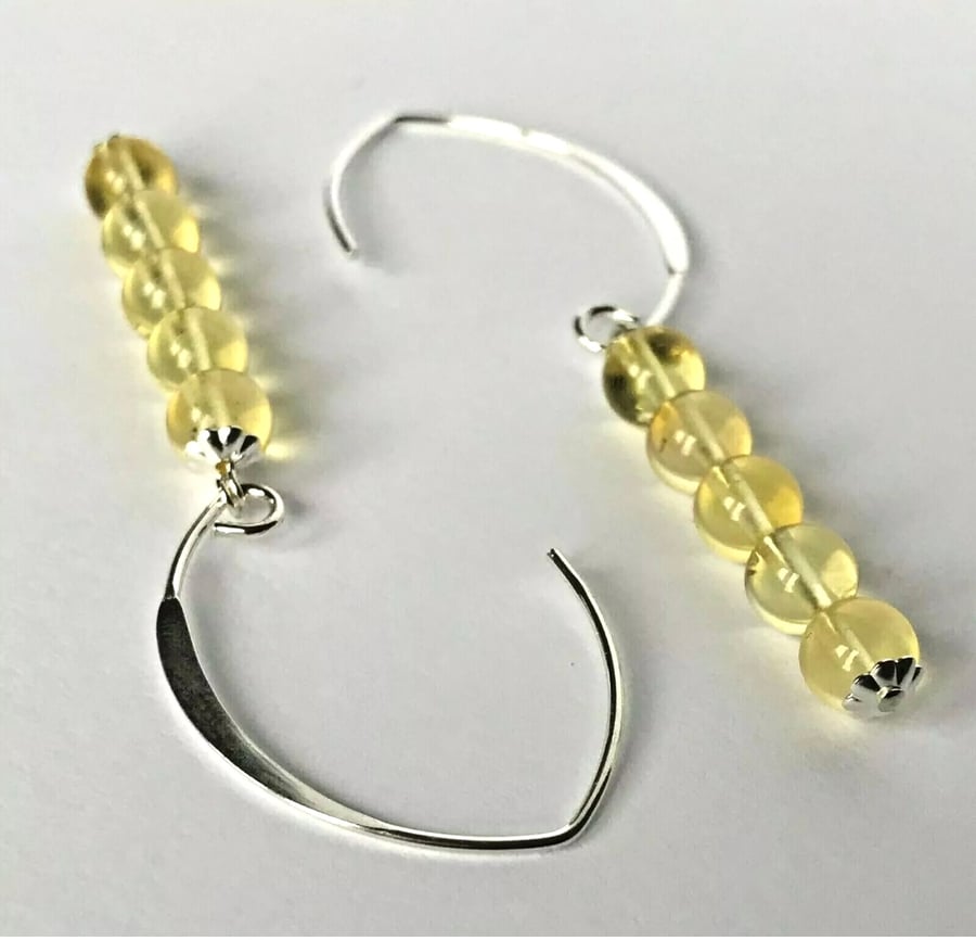 Lemon Baltic Amber Earrings on Sterling Silver V-shaped ear wires