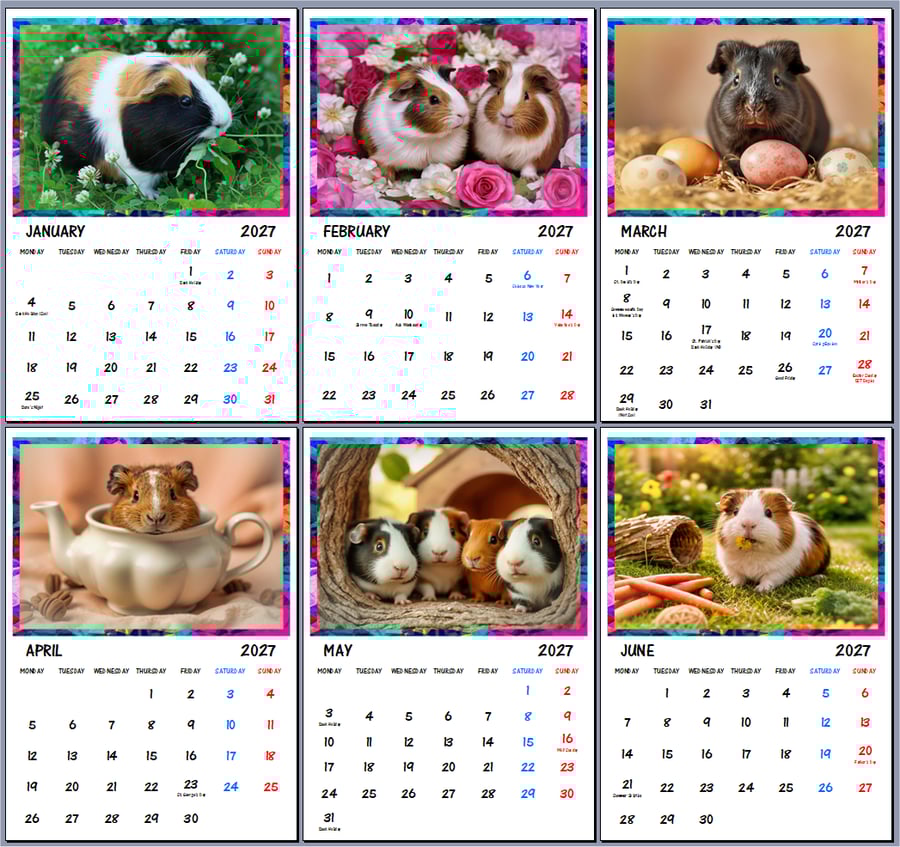 2027 Calendar Guinea Pigs A4 Page Per Month 