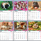 2027 Calendar Guinea Pigs A4 Page Per Month 