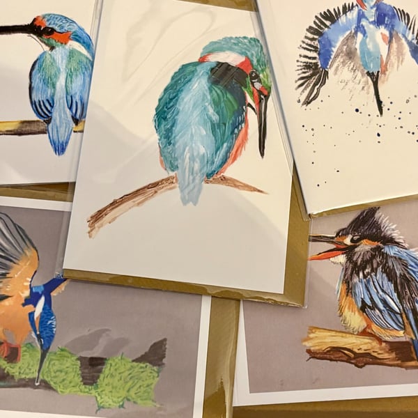 The Kingfisher Collection - set of 5 x A6 cards 