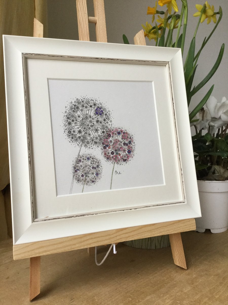 Simply Alliums framed print 9.5 x 9.5”