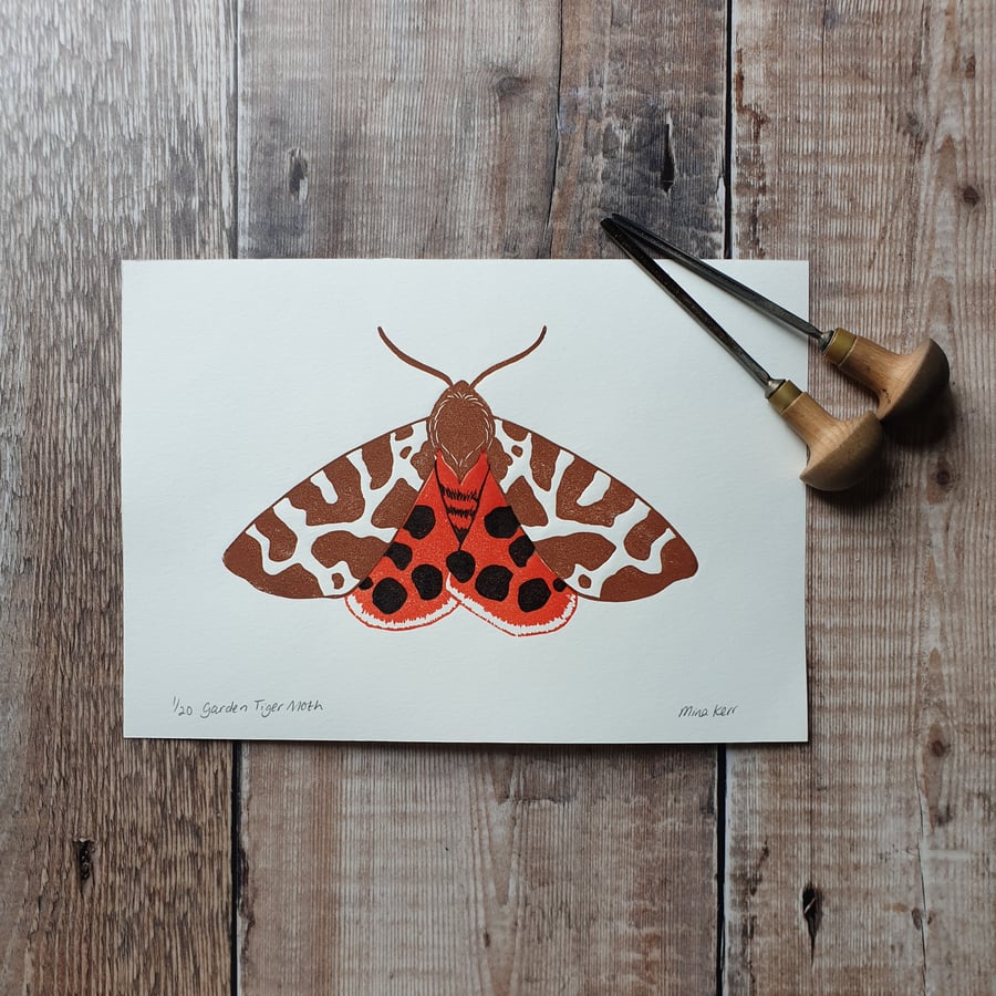 Tiger Moth Lino Print - Moth Lino Print 