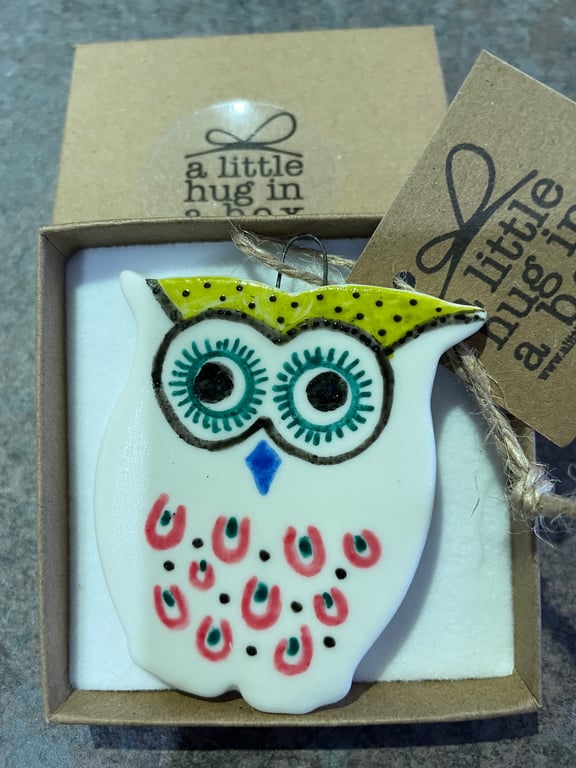 A little hug in a box multi colour owl porcelain gift 