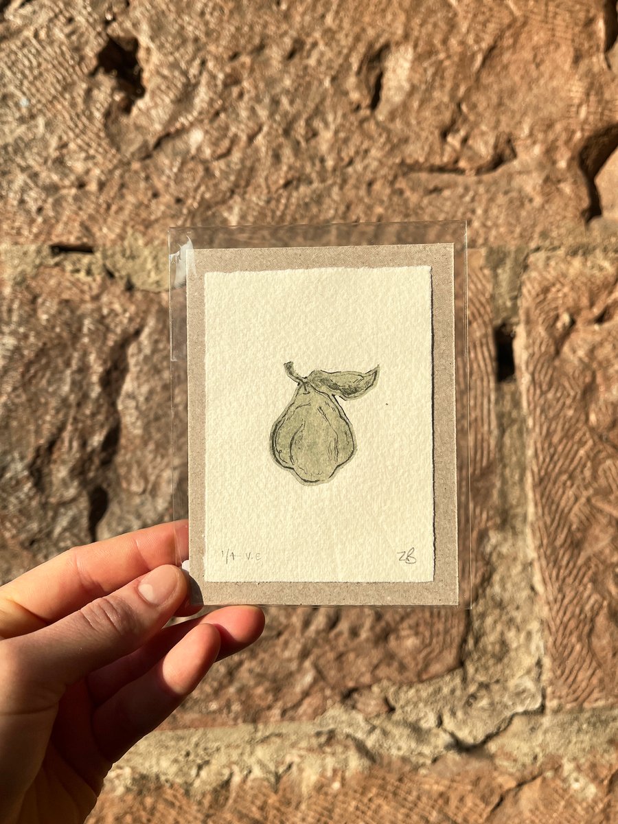 The Quince - Original Intaglio Print