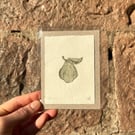 The Quince - Original Intaglio Print