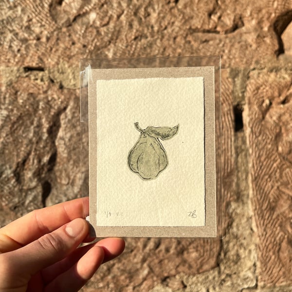 The Quince - Original Intaglio Print