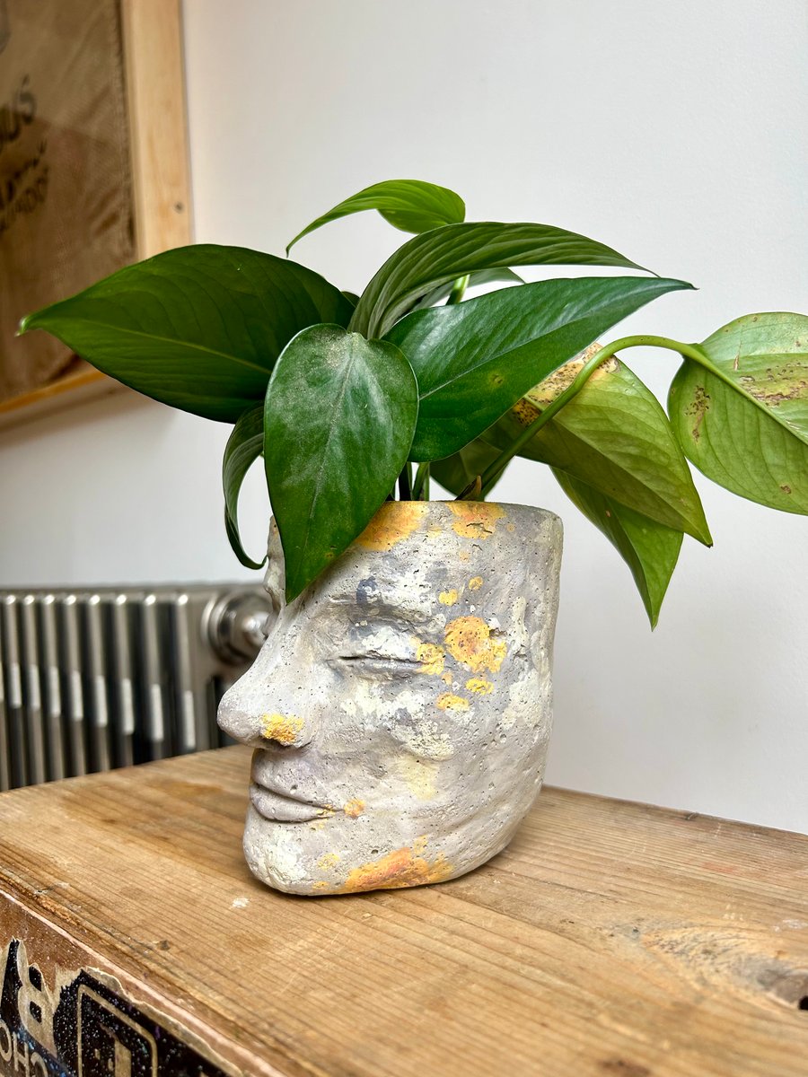 Lichen Inspired Head shaped Plant Pot or Face Vase. Hand painted. 