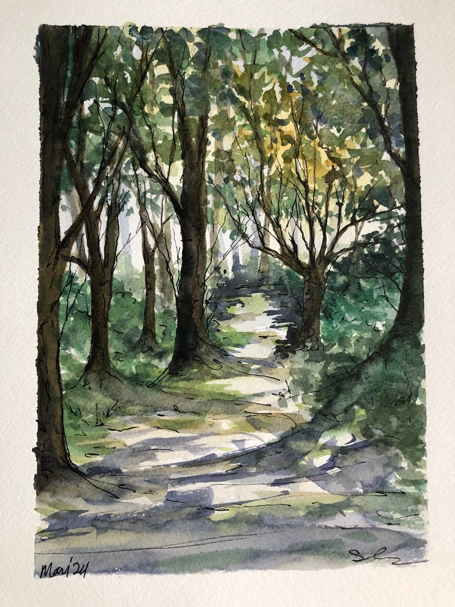 Path through the forest