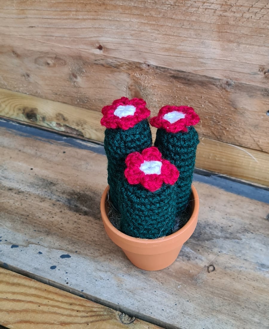 Crochet Cactus Plant 