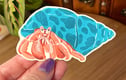 Illustrated Stickers