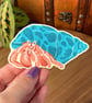 Hermit Crab Vinyl Sticker