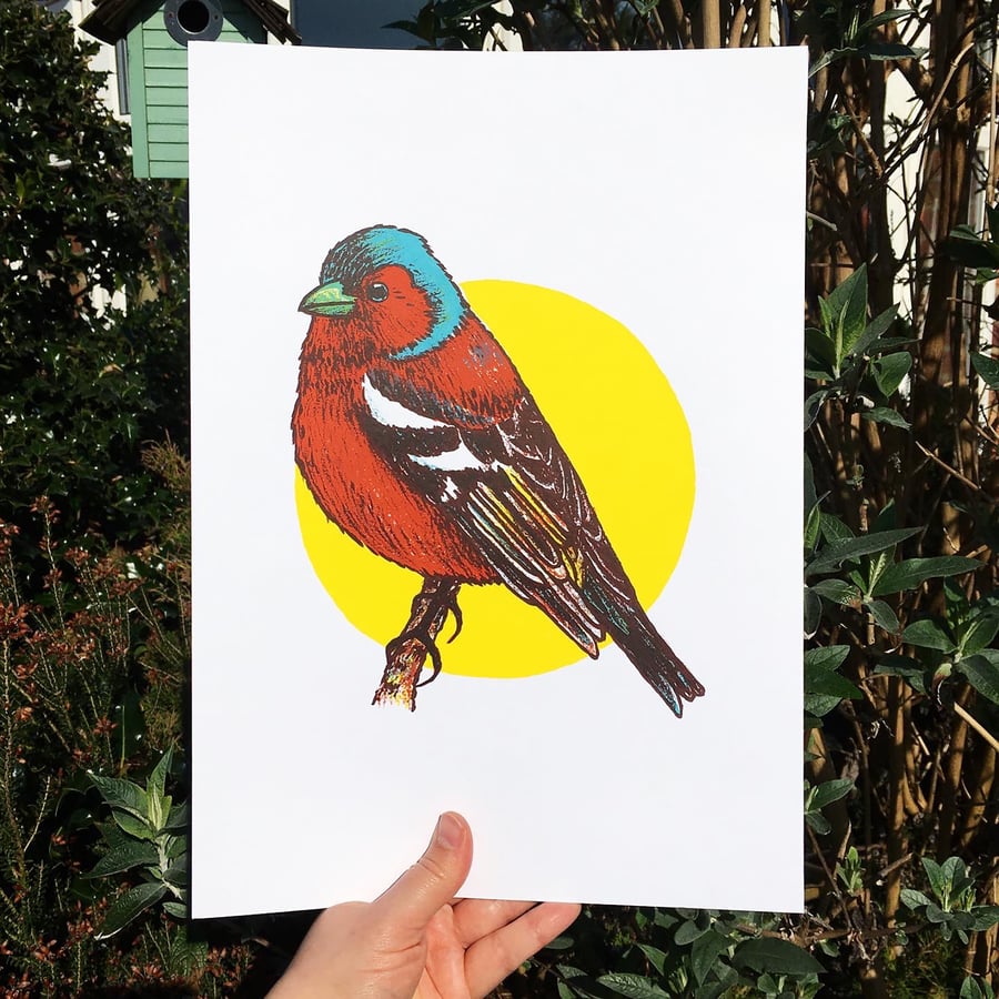 Chaffinch, 4-colour screen print