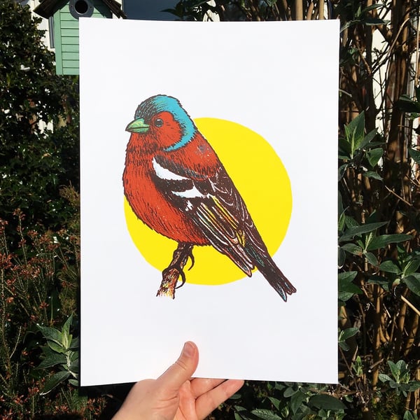Chaffinch, 4-colour screen print