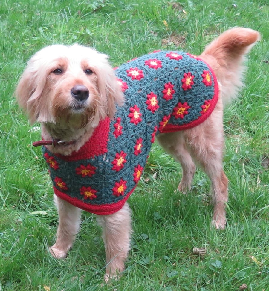 Dog Coat Crochet Pattern PDF, Betty's Christmas Sweater Dog Coat, As seen on TV