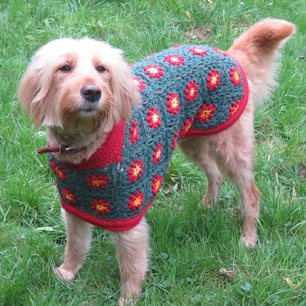 Dog Coat Crochet Pattern PDF, Betty's Christmas Sweater Dog Coat, As seen on TV
