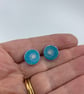 Turquoise anodised aluminium ammonite stud earrings - Image 2