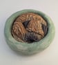Border Terrier Yorkshire Pudding - 5