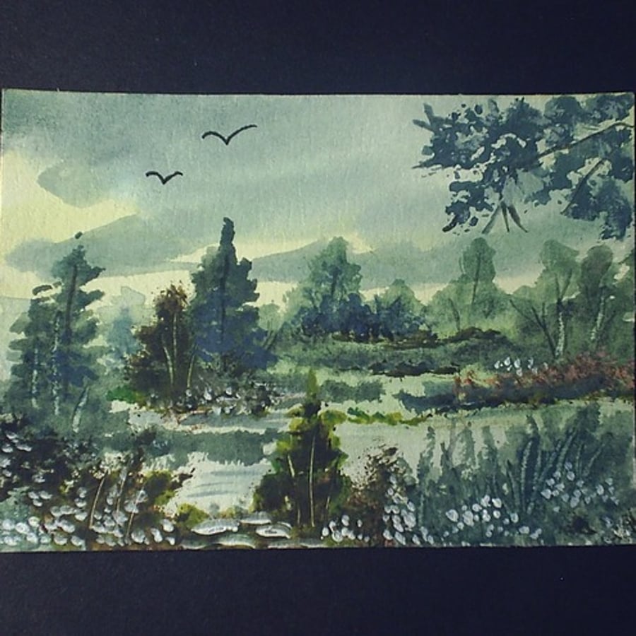aceo original